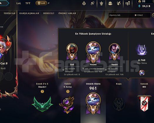 EUW lol hesabı 550 skin emek hesabı