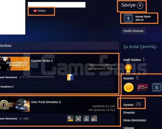 10 MADALYALI 34 LV GTA V DAYZ BF 4 Hogwarts Legacy