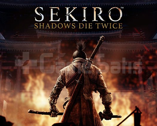 Sekiro Shadows Die Twice + Garanti