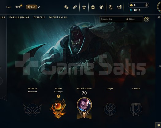 Euw 22lvl handmade account
