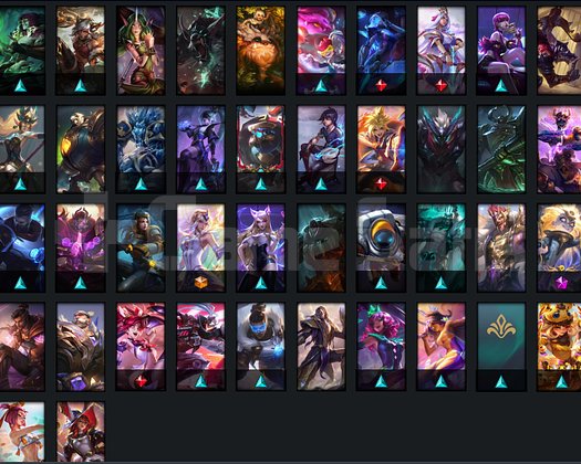 TR MASTER HESAP