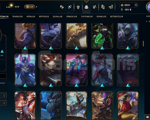 421 LEVEL / 179 SKİN / FUL HERO +MAİL +2K RP