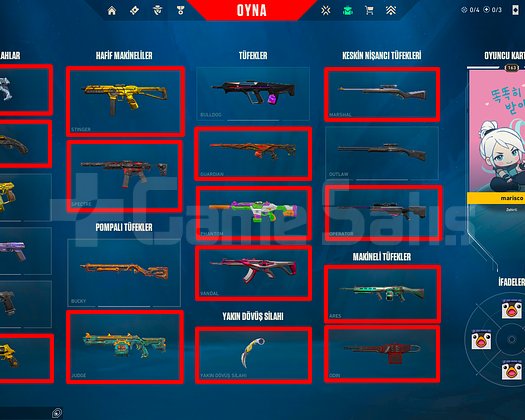 163 SEVİYE + 6 VANDAL + 3 BIÇAK / ASİL+GAİA +MAİL!