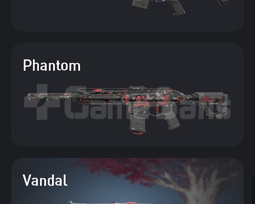 GAYYA VANDAL, ÖZEL HAREKAT PHANTOM, YAĞMACI OP