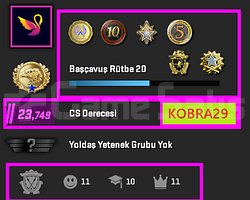 FACEİT+ 6 MADALYA 180 WİN 698 SAAT SEÇKİN