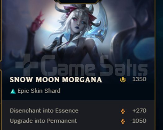 EUW 19 LEVEL YONE EKKO MORGANA SKIN HANDMADE