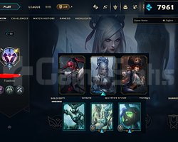 EUW 22 LEVEL HANDMADE 6 SKIN MAIL ONAYSIZ