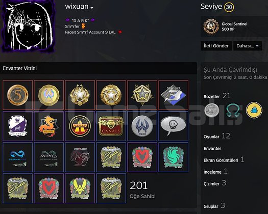 CS2 SEÇKİN PREMİER +25K 5 YIL ROZET 30LVL PROFİLE