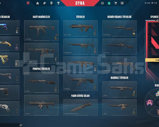 TR // 14 SKIN // ÇERÇEVELİ + VALO // RANK READY
