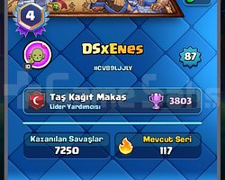 Max level full dolu hesap