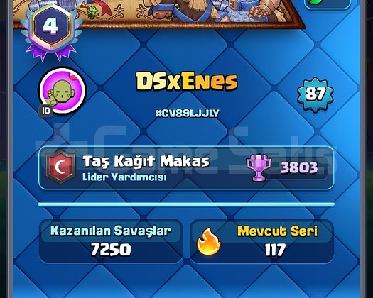 Max level full dolu hesap