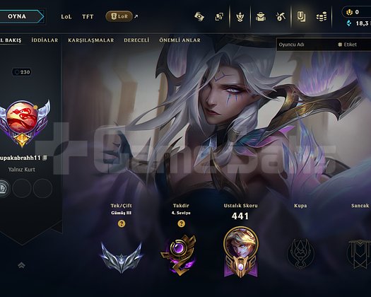 TR // 37 SKIN // 230 LVL // EN SON 2025TE OYNANDI