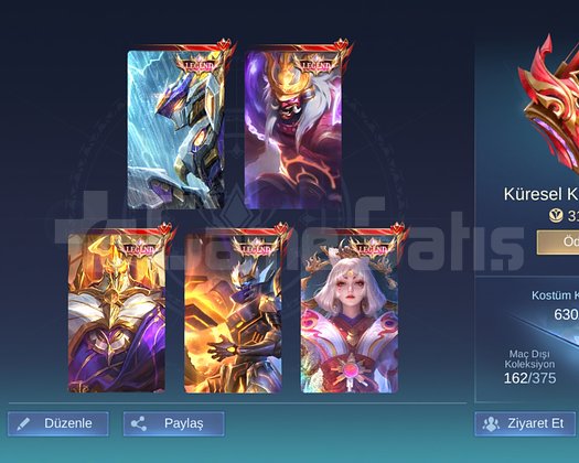 310K KÜRESEL/UÇAK ÇERÇEVELİ/TR ID