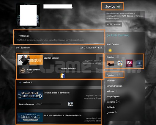 91.500 STEAM OYUN ENVANTERLİ STAR WARS Jedi Survi