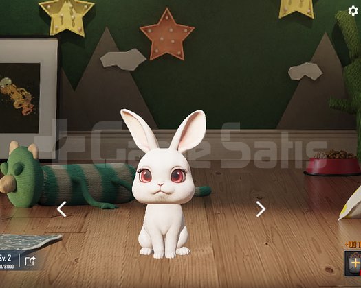 RP+125UC İSİM DEĞİŞTİRME+PET+2MATREYAL