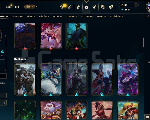 205 LEVEL / 110 SKİN / FUL HERO +MAİL +TELEFON