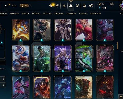 205 LEVEL / 110 SKİN / FUL HERO +MAİL +TELEFON