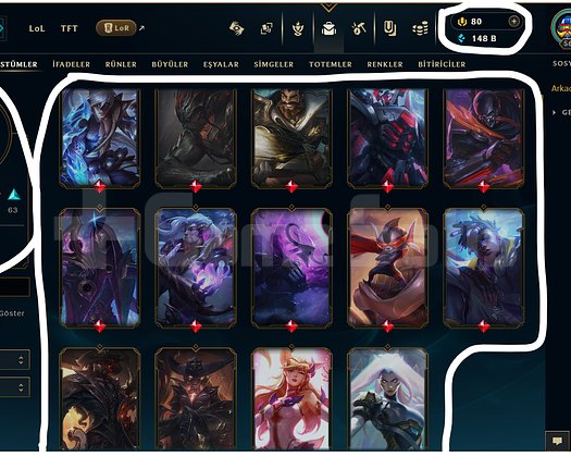 569 LEVEL / 131 SKİN / FUL HERO +MAİL +14K SATIŞ