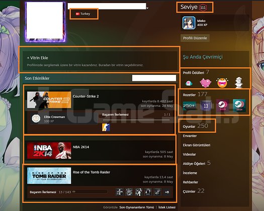 111 LV STEAM ÖZEL RED DEAD 2 DAYZ NFS HEAT ELDEN R