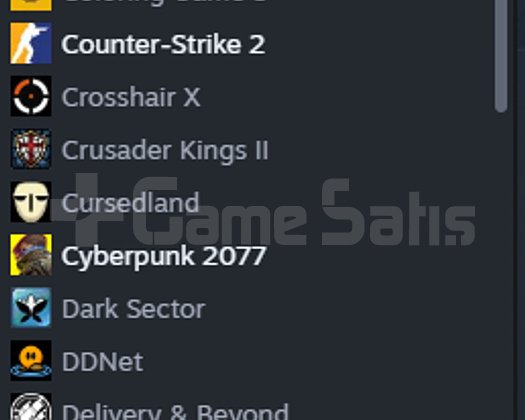 Rust+CS2 SEÇKİN HESAP