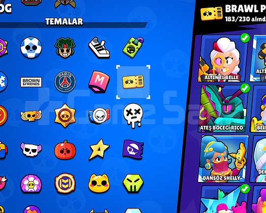 ESKİ BP DOLUSU NADİRLER NADİRİ 50K HESAP