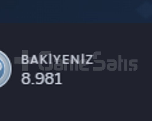 90 USD TOTAL SPEND 8981 STEAM PUANI CS PRIME