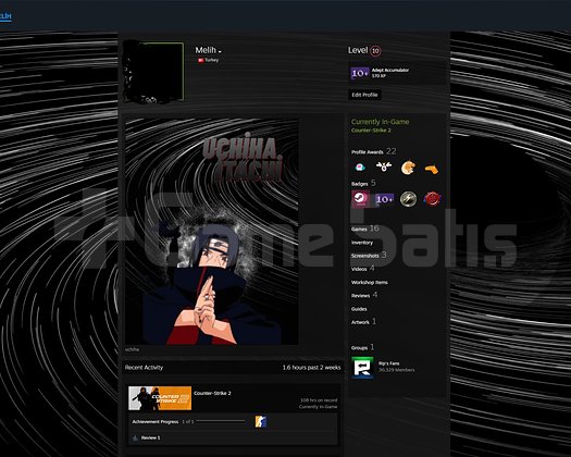 PRIME CS 25 LVL UNRANKED STEAM 10 LVL PREMIERRDY