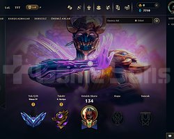 TR DİA4 64WR 11 SKIN 16 KOSTÜM KRİSTALİ +30LP GAİN