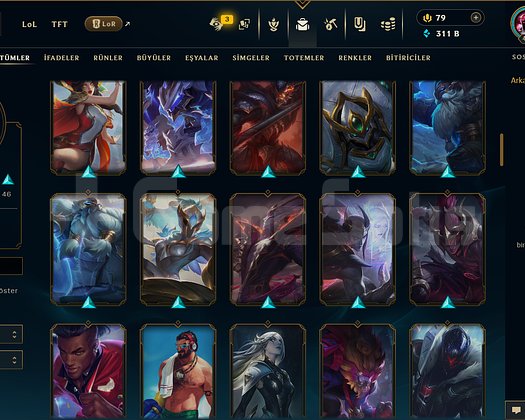TR / 466 LEVEL / 110 SKİN / 170 HERO +MAİL