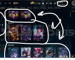 TR / 466 LEVEL / 110 SKİN / 170 HERO +MAİL