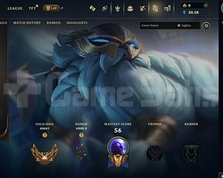 EUW Gold 1 | 5 Kostüm - 20K Mö | LoL Hesap