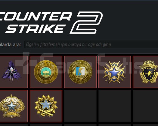 250 LEVEL STEAM 38 MADALYA !