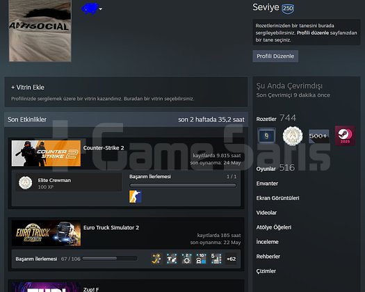 250 LEVEL STEAM 38 MADALYA !