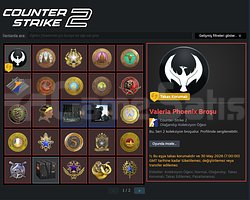 250 LEVEL STEAM 38 MADALYA !