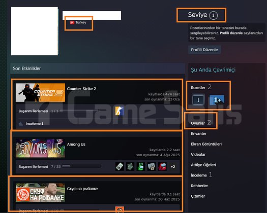 3 MADALYALI 21 LV 266 TL STEAM BAKİYELİ 1100 TL ST