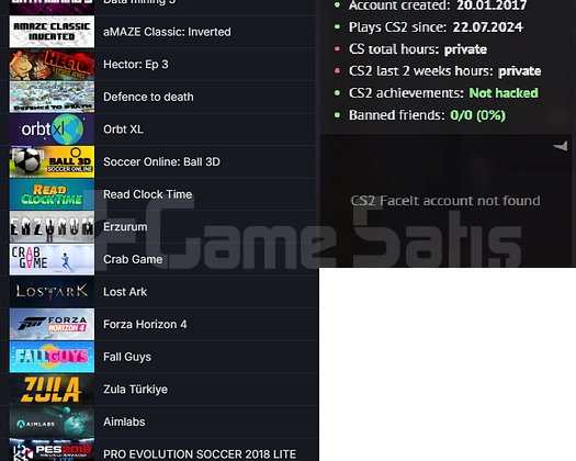 TR HESABI ETS 2 Forza Horizon 4 3500 TL STEAM OYUN