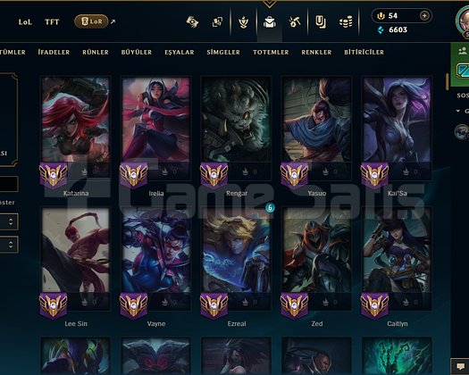 270 KOSTÜM ZÜMRÜT 1 /ZÜMRÜT 4 508 LVL HESAP