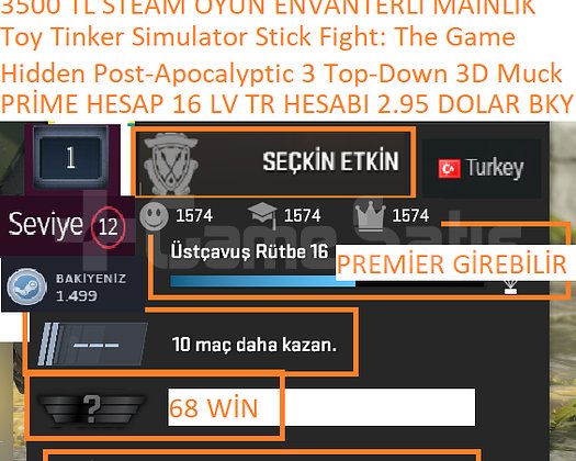 PRİME HESAP 16 LV TR HESABI 2.95  BAKİYE Hidden P