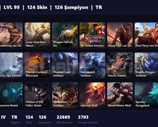 TR / 95 LVL + 124 SKİN + BRONZE IV !!