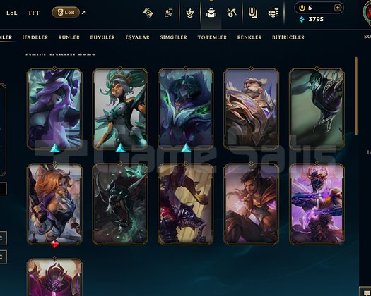 TR MASTER HESAP