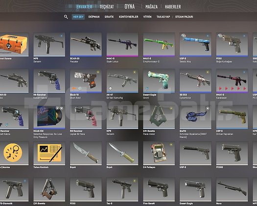CS2 PRİME HESAP 20 DOLAR ENVANTER