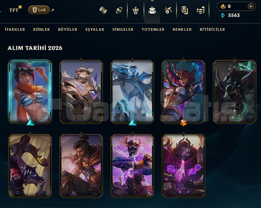 TR DİA4 10 SKIN ACC