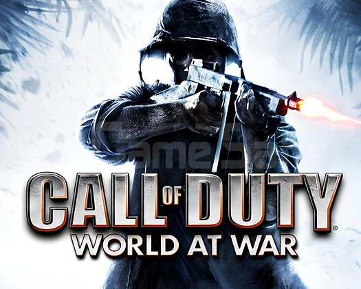 Call of Duty World At War + Garanti