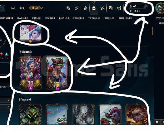 449 LEVEL / 137 SKİN / FUL HERO +MAİL +ELMAS