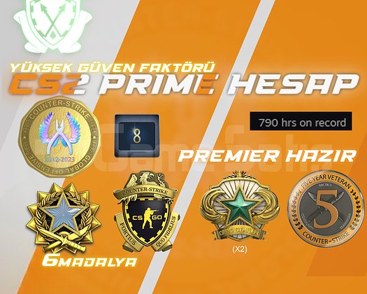6 MADALYA + 790 SAAT + FACEIT + PREMIER HAZIR CS2