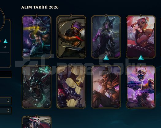 TR MASTER 11 SKIN ACC