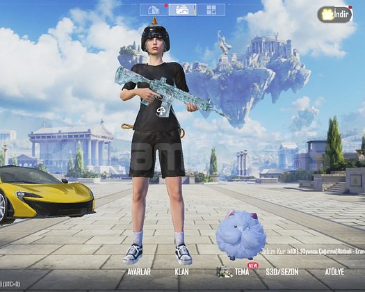 5 m416 73 koleksiyon 90 lvl 6 spor nadir hesap