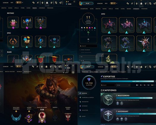 KOLEKSİYONLUK OG LoL HESABI | S2-S3-S4 DIAMOND