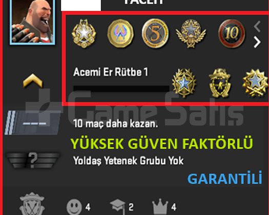ANINDA TESLİM | 8 MADALYA | 802 SAAT | FACEIT
