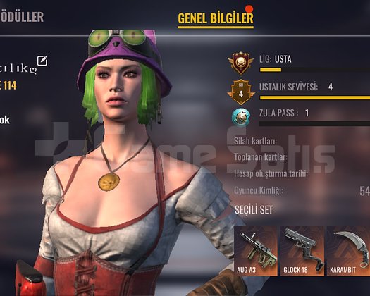 114 SEVİYE ZULA MOBİLE HESABI